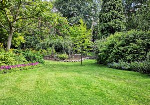 Optimiser l'expérience du jardin à Fremecourt